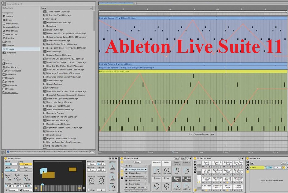 Ableton Live Suite 11